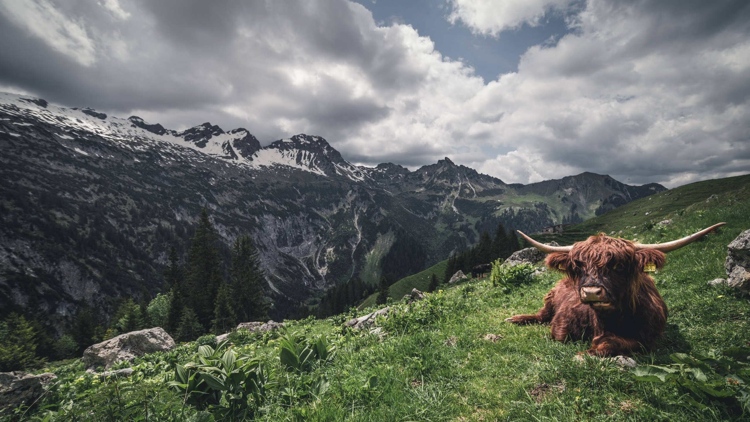 篮球俱乐部与高校合作共建训练科研平台促进产学研结合,篮球培训俱乐部简介