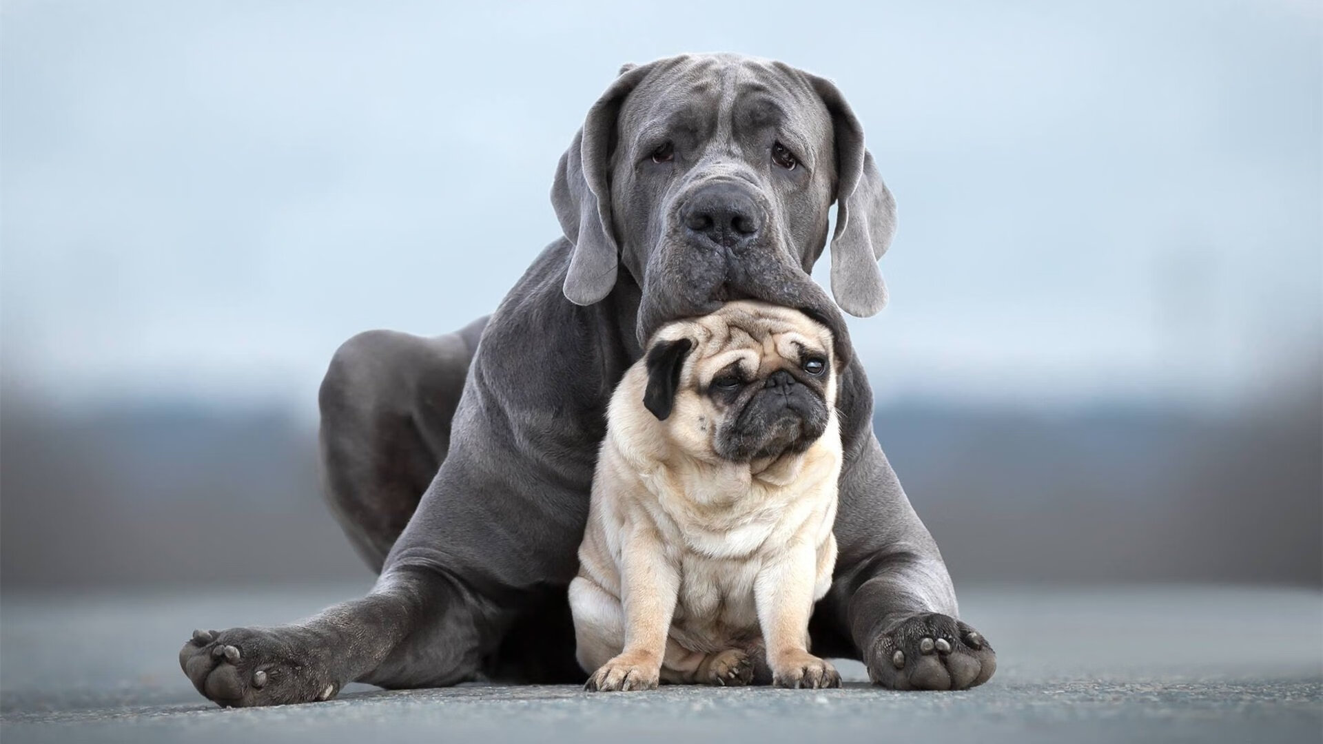 篮网新赛季目标锁定季后赛稳定席位,篮网新赛季大名单